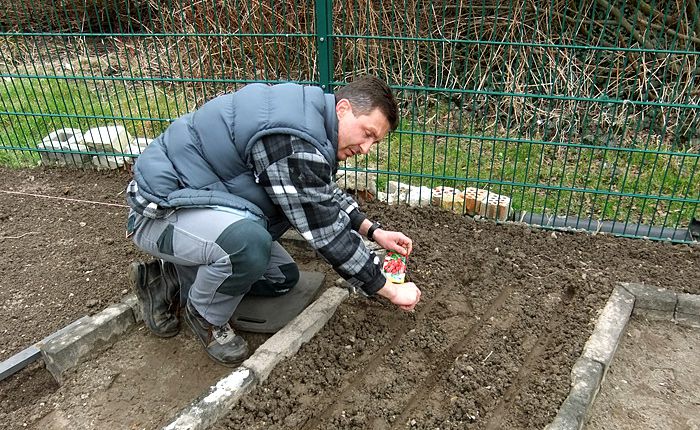 Arbeit & Beschäftigung